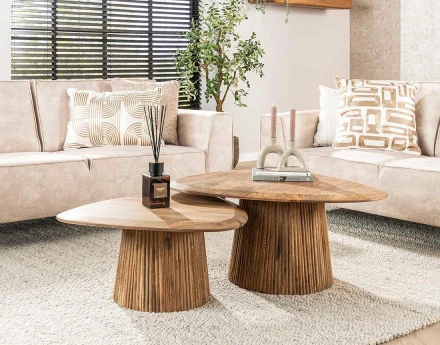 Lot de 2 tables basses...