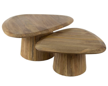 Lot de 2 tables basses...
