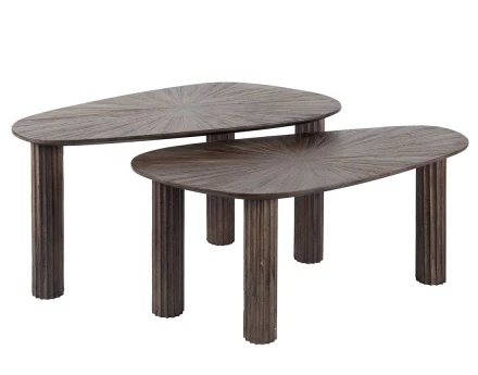 Lot de 2 tables basses...