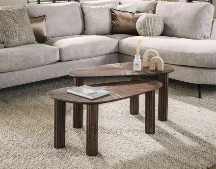 Lot de 2 tables basses...