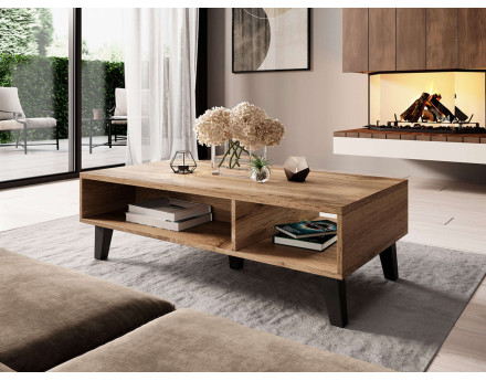 Lord – Table basse de style industriel avec deux niches de rangement et des pieds noirs (110x35x60 cm)