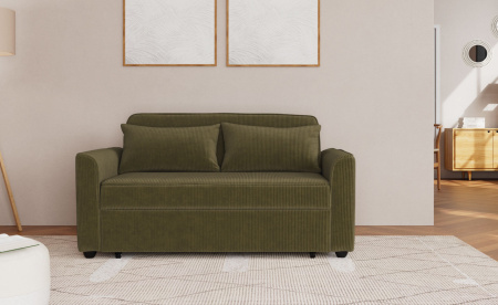                   Canapé Clic-Clac Vert Pas Cher | Best Mobilier
               