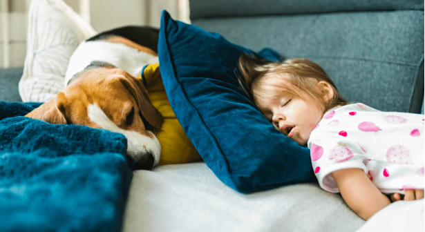 Quels sont les critères à prendre en compte pour choisir un canapé couchage quotidien ?